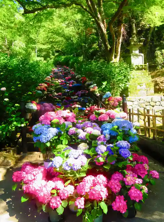 長谷寺(奈良県)