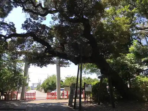 息栖神社のその他建物
