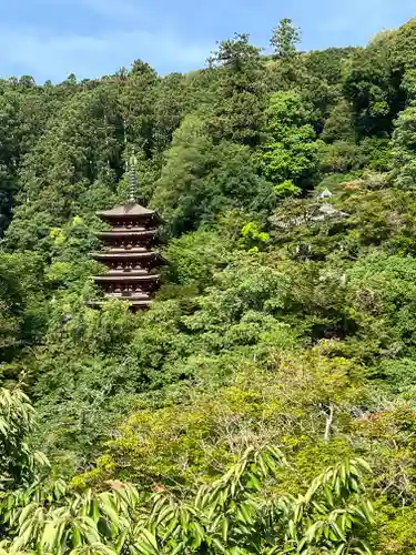 長谷寺(奈良県)