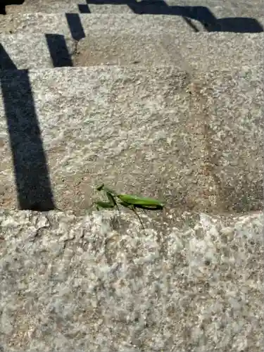 筑波山神社(茨城県)