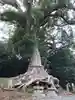 光岡八幡宮(福岡県)
