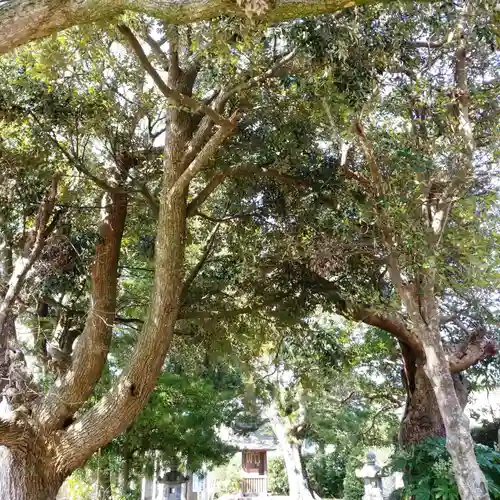 鎌足神社の自然