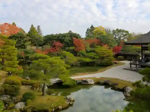 仁和寺の庭園
