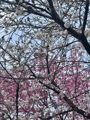 長建寺の{uncategorized: "未分類", other: "その他", undefined: "問題あり", building: "その他建物", grave: "お墓", sacred_gate: "鳥居", guardian: "狛犬", statue: "像", buddha: "仏像", history: "歴史", nature: "自然", garden: "庭園", animal: "動物", pagoda: "塔", temizu: "手水舎", mountain_gate: "山門・神門", sanctuary: "本殿・本堂", subordinate: "末社・摂社", art: "芸術", scenery: "景色", jizo: "地蔵", ema: "絵馬", goshuin: "御朱印", omikuji: "おみくじ", items: "授与品その他", amulet: "お守り", goshuincho: "御朱印帳", eats: "食事", festival: "お祭り", votive_dance: "神楽", shichigosan: "七五三参", wedding: "結婚式", experience: "体験その他", initially: "初詣", around: "周辺", anti_infection: "感染症対策"}