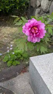 光慶寺(奈良県)