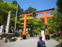 日吉大社の鳥居