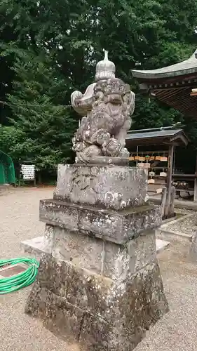 安房神社の狛犬