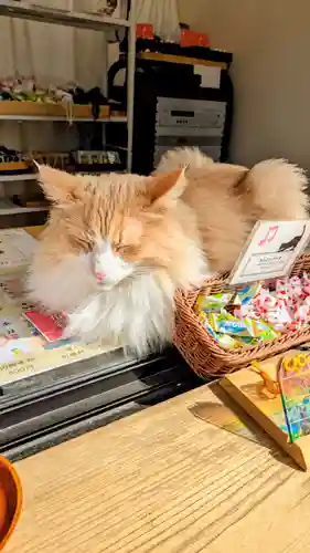 駒込妙義神社の動物