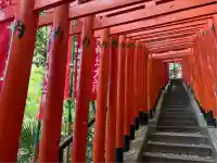 日枝神社の鳥居