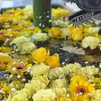 札幌諏訪神社の手水舎