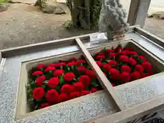 比々多神社(神奈川県)