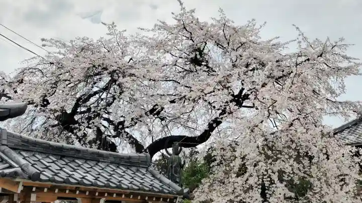 光榮寺(群馬県)