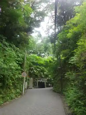 銭洗弁財天宇賀福神社の周辺