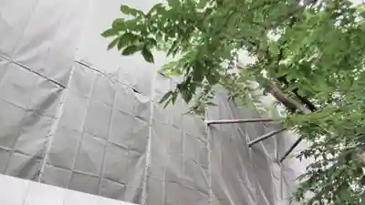 本隆寺(本妙興隆寺)の本殿・本堂