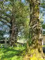 磯宮八幡神社(兵庫県)