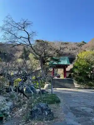 光則寺(神奈川県)