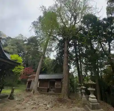 井田神社(兵庫県)