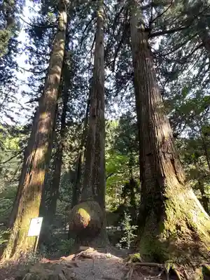 花園神社(茨城県)