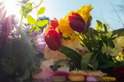 勝林寺(京都府)