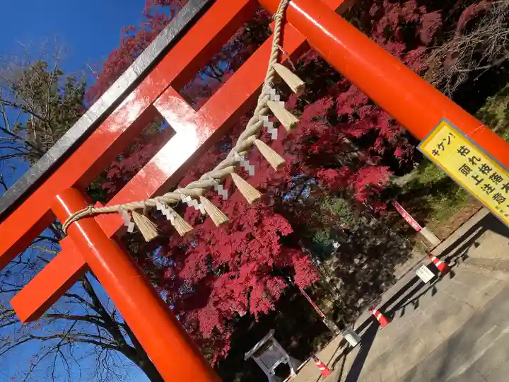 賀茂神社(宮城県)