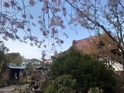 常泉寺(神奈川県)