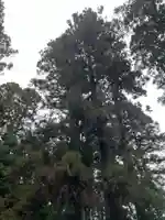 大宮温泉神社(栃木県)