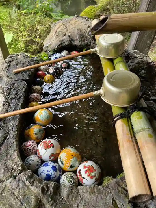 金蔵寺(京都府)