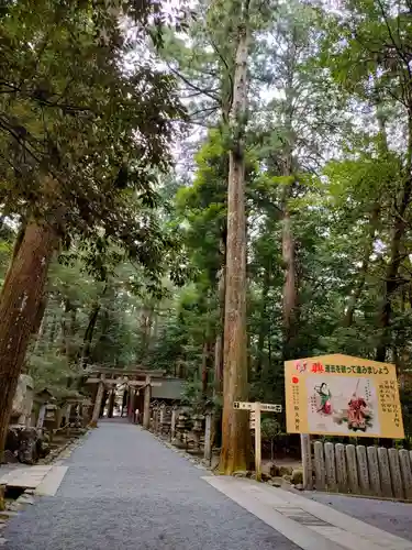 椿大神社の景色