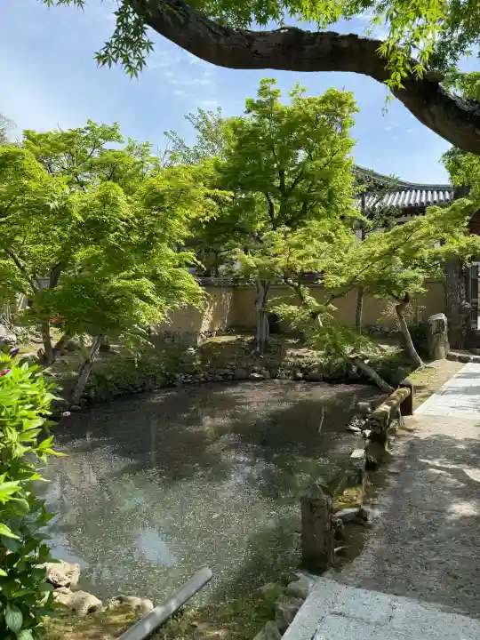 新薬師寺の{uncategorized: "未分類", other: "その他", undefined: "問題あり", building: "その他建物", grave: "お墓", sacred_gate: "鳥居", guardian: "狛犬", statue: "像", buddha: "仏像", history: "歴史", nature: "自然", garden: "庭園", animal: "動物", pagoda: "塔", temizu: "手水舎", mountain_gate: "山門・神門", sanctuary: "本殿・本堂", subordinate: "末社・摂社", art: "芸術", scenery: "景色", jizo: "地蔵", ema: "絵馬", goshuin: "御朱印", omikuji: "おみくじ", items: "授与品その他", amulet: "お守り", goshuincho: "御朱印帳", eats: "食事", festival: "お祭り", votive_dance: "神楽", shichigosan: "七五三参", wedding: "結婚式", experience: "体験その他", initially: "初詣", around: "周辺", anti_infection: "感染症対策"}