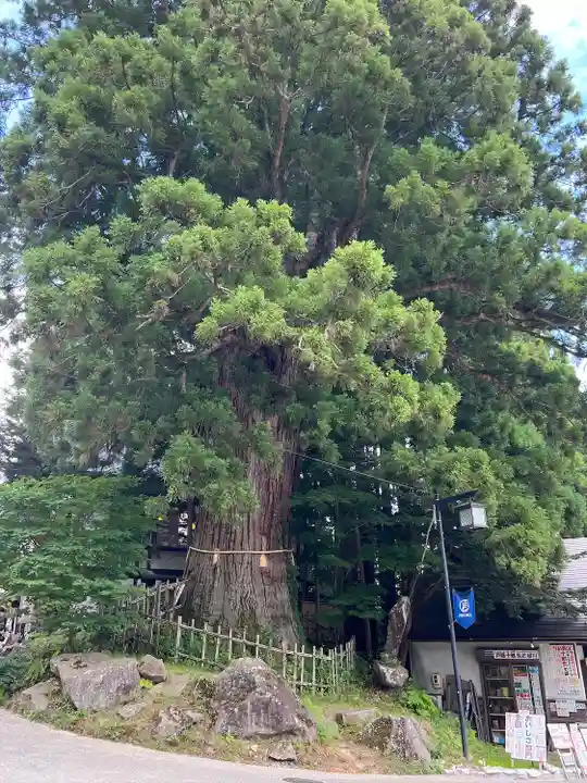 戸隠神社中社(長野県)