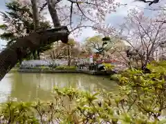 鶴岡八幡宮の庭園