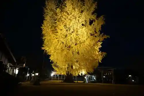 丹生酒殿神社の自然