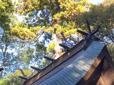楯縫神社(茨城県)