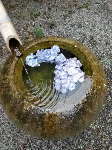 下高井戸八幡神社（下高井戸浜田山八幡神社）の手水