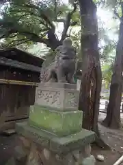 ときわ台天祖神社の狛犬