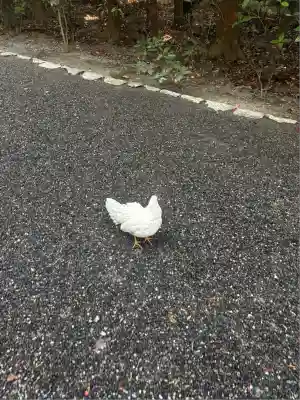 伊勢神宮外宮（豊受大神宮）(三重県)