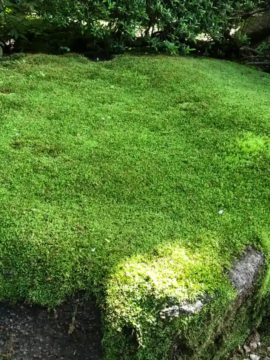 上野東照宮(東京都)