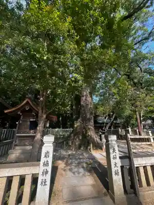 伊弉諾神宮(兵庫県)