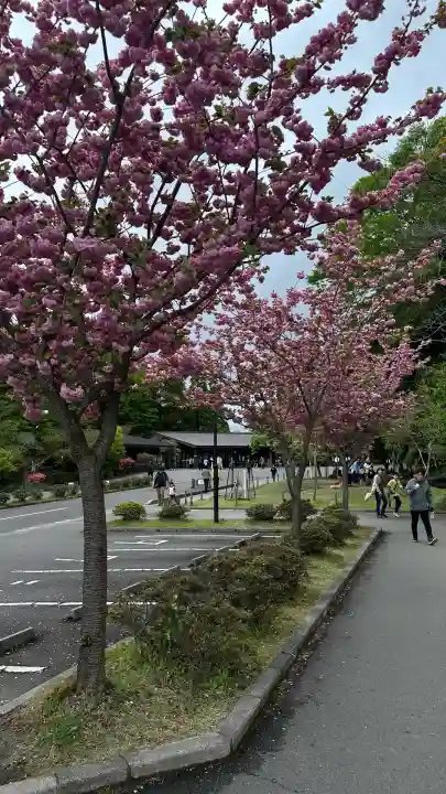 霧島神宮(鹿児島県)
