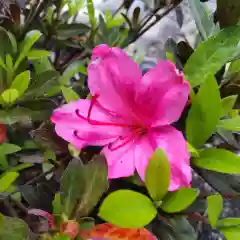 七重浜海津見神社(北海道)