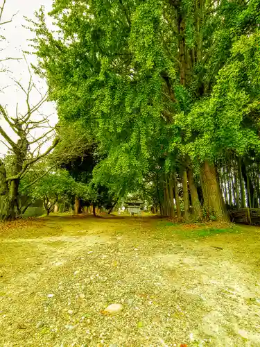 日吉社（丹陽町）のその他建物