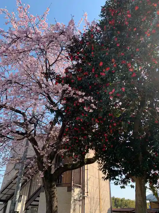 円性寺(千葉県)