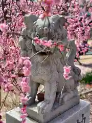 屯倉神社(大阪府)