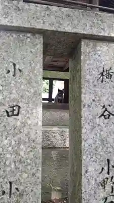 吉備大臣宮の動物
