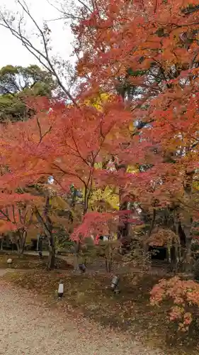 長岡天満宮(京都府)