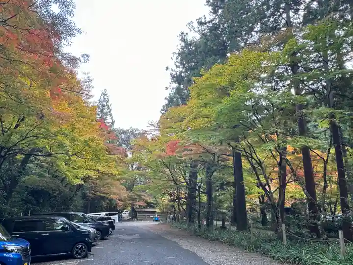 大矢田神社(岐阜県)