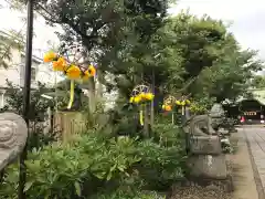 菊田神社の建物その他