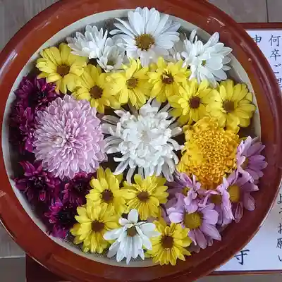 三澤寺の手水舎