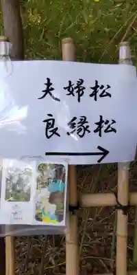 自由が丘熊野神社のその他建物