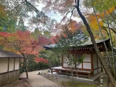 神峯山寺(大阪府)